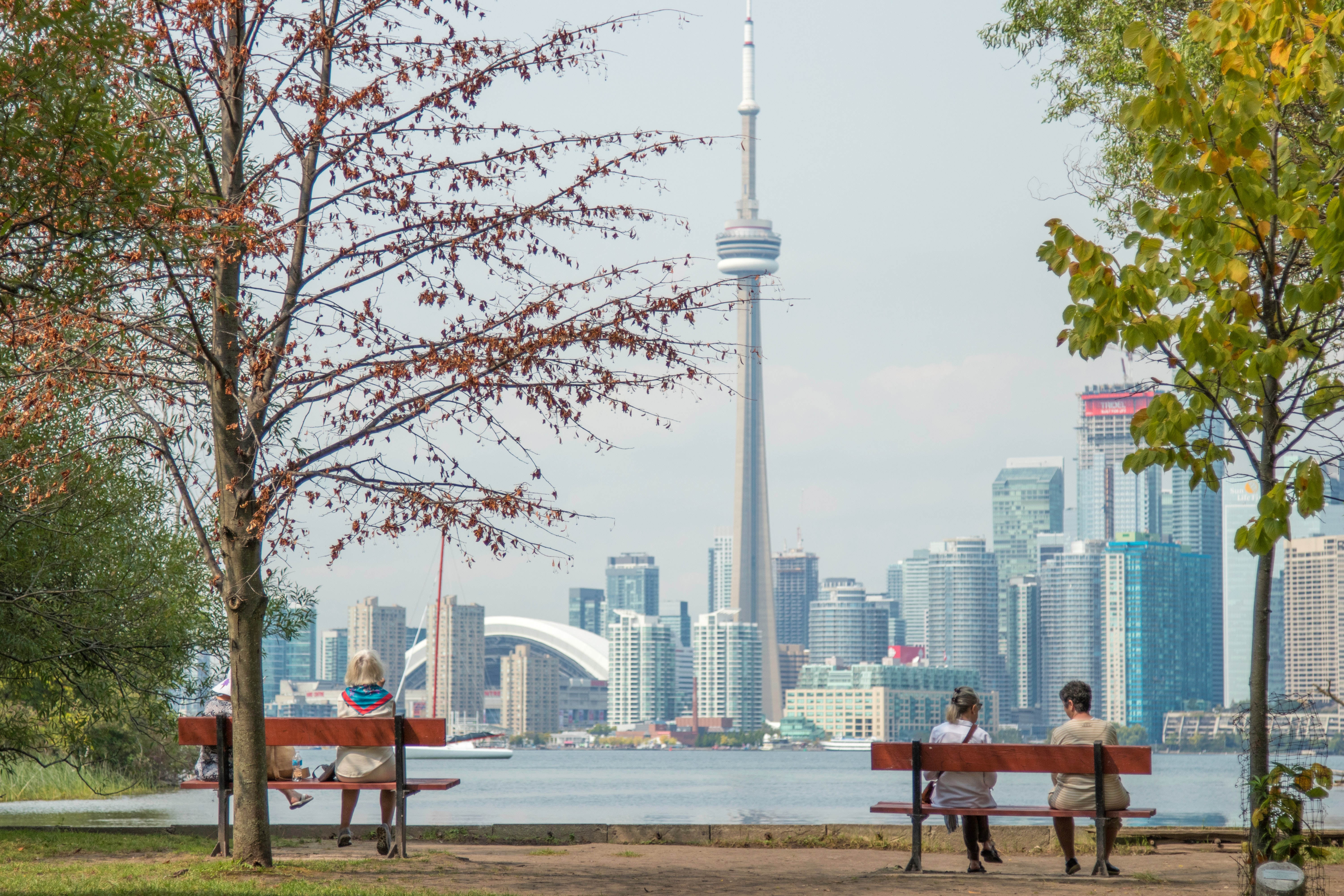 several people sitting on park benches facing the Toronto skyline. 