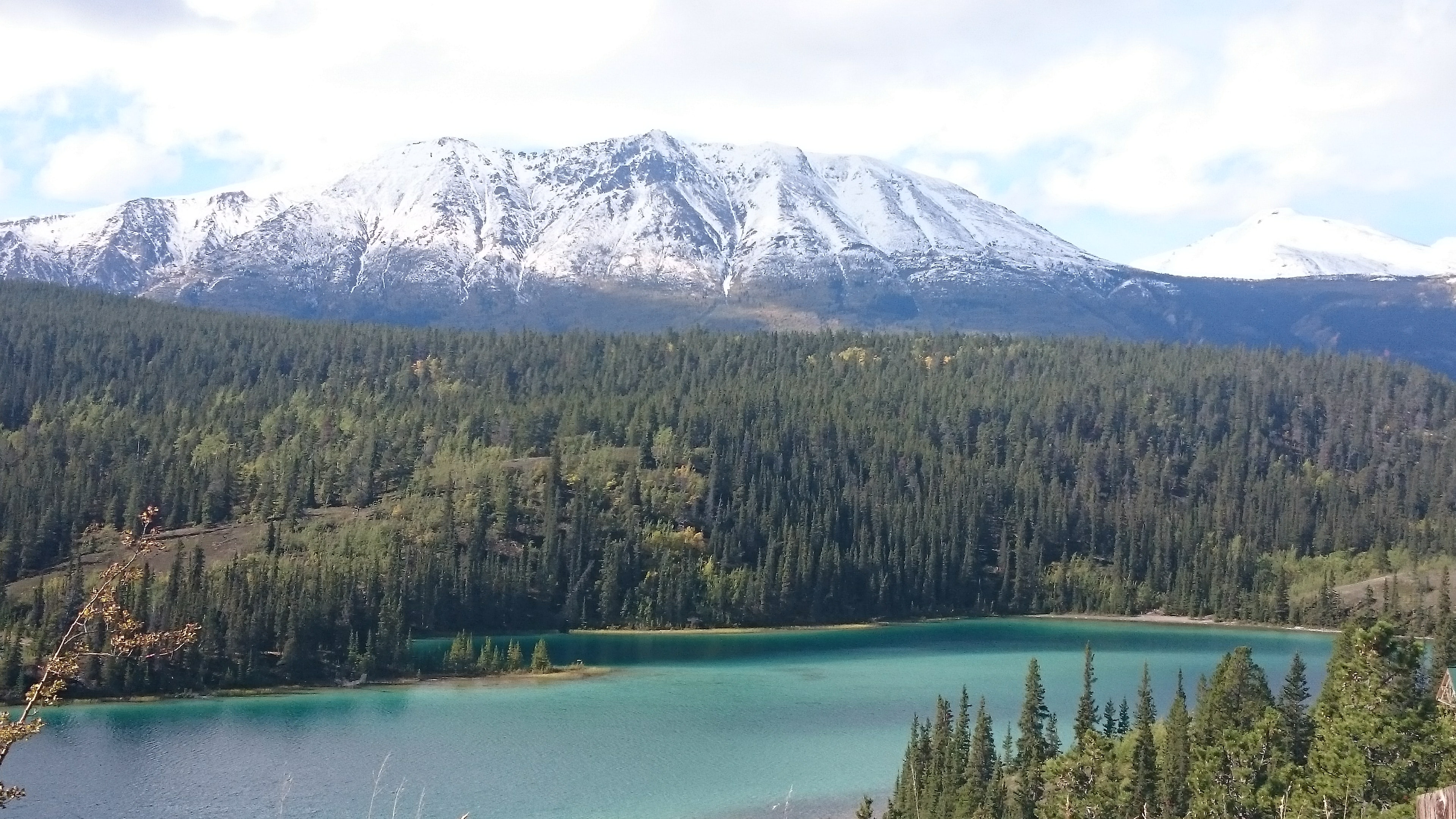 Emerald Lake Yukon, a blue-green lake in front of a green pine forest. A snow capped mountain in the background.