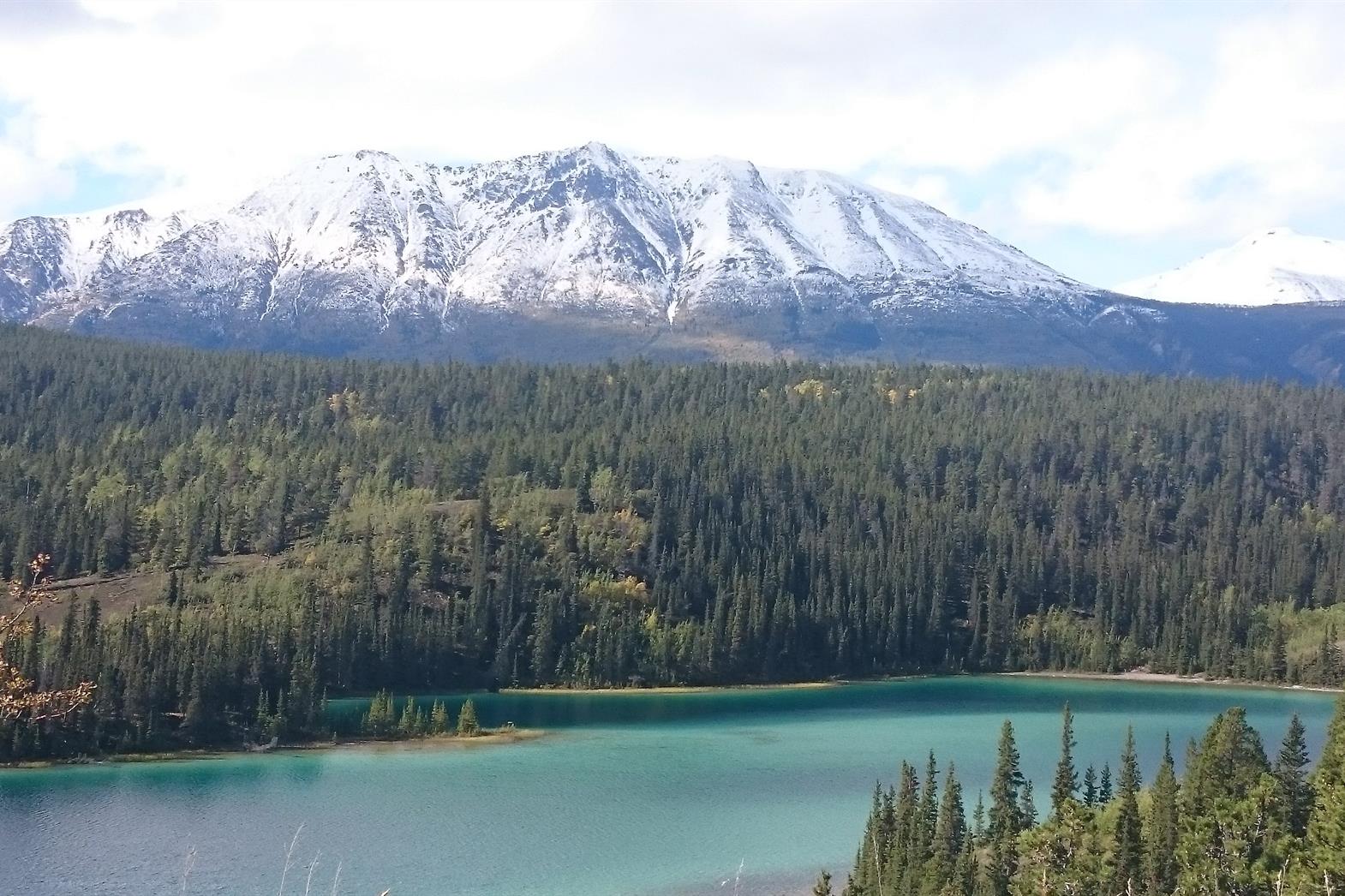 Emerald Lake Yukon, a blue-green lake in front of a green pine forest. A snow capped mountain in the background.