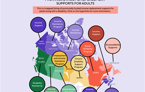 Provincial Income Replacement Supports for Adults