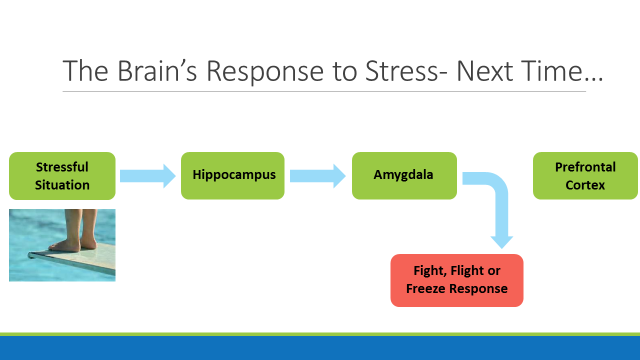 Brain-response-to-stress-next-time