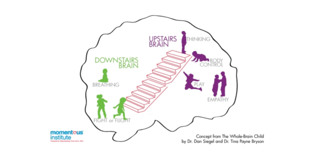 downstairs-vs-upstairs-brain