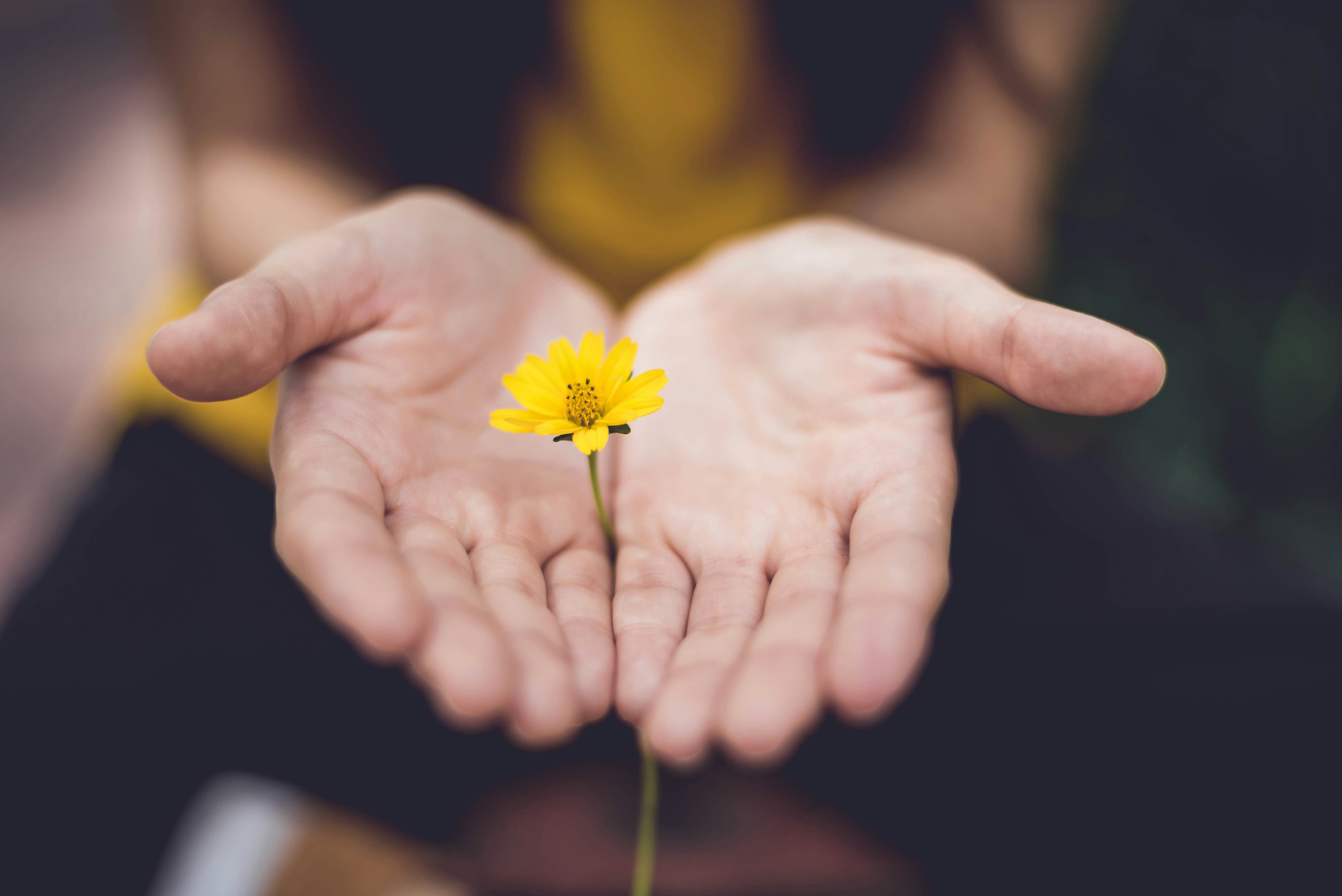 Photo of a woman holding a yellow flower